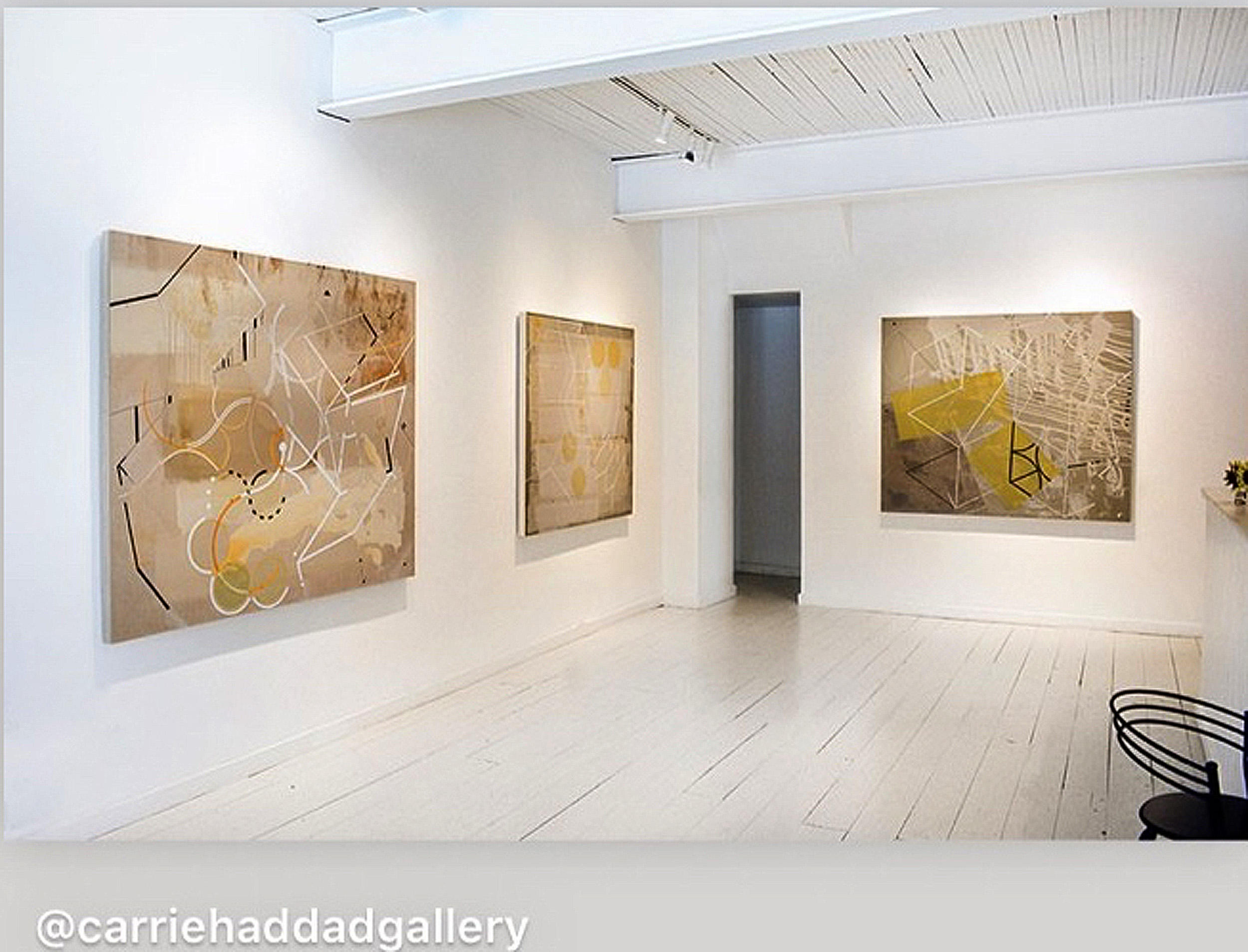 PULSE 
Carrie Haddad Gallery
Hudson NY
Summer2019